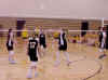 V-Ball_2.jpg (21381 bytes)