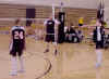 V-Ball_3.jpg (14472 bytes)